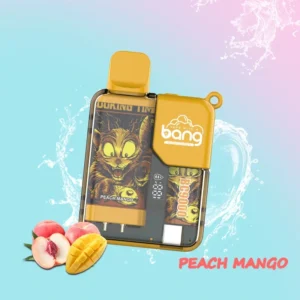 BANG Pyne 9000 Puffs 0% 2% 3% 5% Nikotin Eldobható Vape 550mAh C típusú újratölthető nagykereskedelem Tömeges vásárlás 1