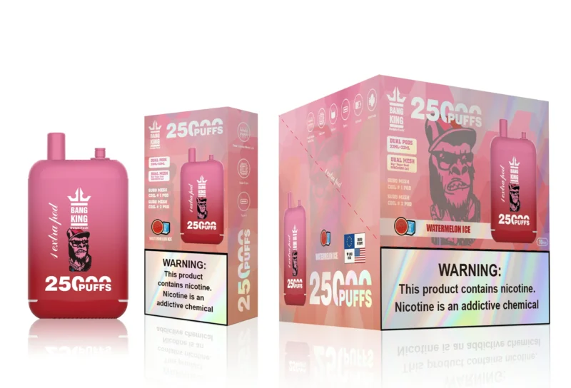 Bang King 25000 Puffs 6 scaled