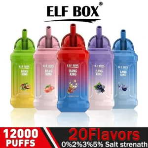 ELF BOX BK 12000 Puffs 12