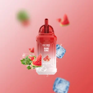 WATERMELON ICE