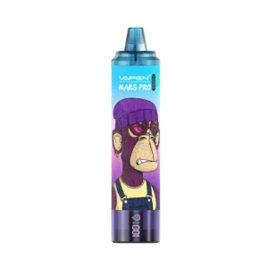 Wholesale VAPEN MRS PRO 15000 Puffs Disposable Vape Pen 24ml 860mAh Rechargeable 2 Nicotine with LED Display Direct from Factory 9