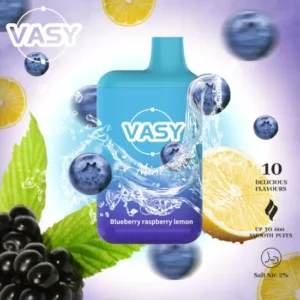 Wholesale VASY Mini 600 Puffs Disposable Vape Pen 20mg TPD Approved Direct from China Factory Nicotine 2 5 5
