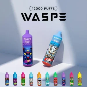 Wholesale Waspe Vape 12000 puffs Low Nicotine Disposable Vape with 650mAh Rechargeable Battery 12 Flavors Options From Original Factory