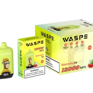 Wholesale Waspe 12000 Puffs Digital Box Vape Pen de unică folosință cu afișaj LCD 20ml Capacitate Mesh Coil Niveluri multiple de nicotină 0 2 3 5 12