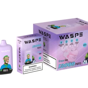 Wholesale Waspe 12000 Puffs Digital Box Vape Pen de unică folosință cu afișaj LCD 20ml Capacitate Mesh Coil Niveluri multiple de nicotină 0 2 3 5 13