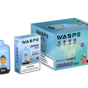 Wholesale Waspe 12000 Puffs Digital Box Vape Pen de unică folosință cu afișaj LCD 20ml Capacitate Mesh Coil Niveluri multiple de nicotină 0 2 3 5 15