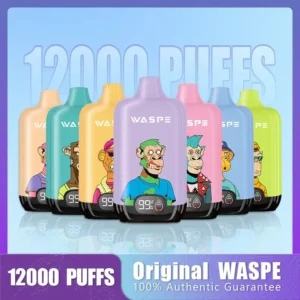 Wholesale Waspe 12000 Puffs Digital Box Vape Pen de unică folosință cu afișaj LCD 20ml Capacitate Mesh Coil Niveluri multiple de nicotină 0 2 3 5 7