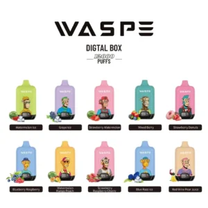 Wholesale Waspe 12000 Puffs Digital Box 0% 2% 3% 5% Nicotină de unică folosință Vape cu arome multiple 2
