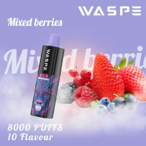 Wholesale Waspe 8000 Puffs 0% 2% 3% 5% Stilou de vape de unică folosință cu nicotină cu arome multiple 16ml E-Liquid 650mAh Tip-C baterie reîncărcabilă 1