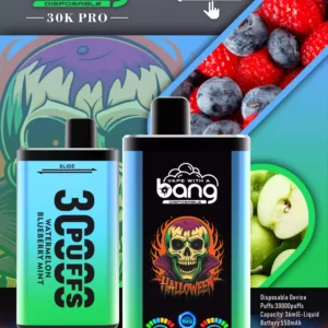 Bang 30000 Puffs Wholesale Fresh Flavors for a Unique Vaping Experience (4)
