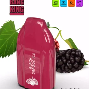 Bang King 12000 Puffs Wholesale Fresh Flavors for a Unique Vaping Experience (1)