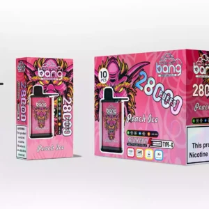 bang 28000 Puffs Wholesale Opțiuni multiple de arome pentru o nouă experiență 16
