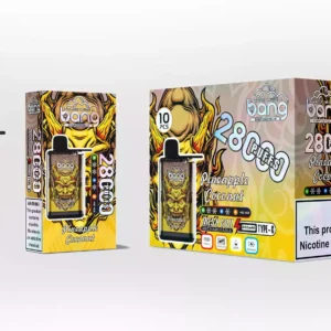 bang 28000 Puffs Wholesale Opțiuni multiple de arome pentru o nouă experiență 18
