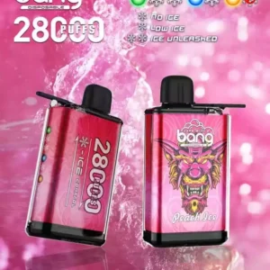 bang 28000 Puffs Wholesale Opțiuni cu arome multiple pentru o nouă experiență (9)