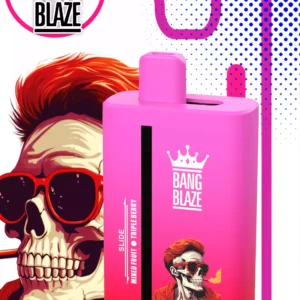 High Quality BANG BLAZE 40000 12FLAVORS BK40S Disposable Vape Bulk Order with 40ml E Liquid and Type C Port