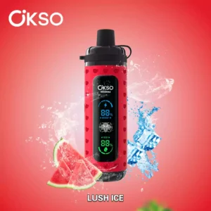High Quality OKSO Shisha Max 40k with Type C Charging LED Screen and Adjustable Power for Bulk Purchase