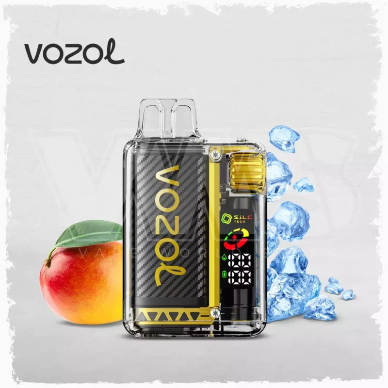 High Quality Vozol Vista 20000 Puffs Disposable Vape with Digital Display for Wholesale
