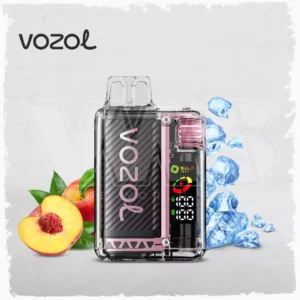 High Quality Vozol Vista 20000 Puffs Disposable Vape with Digital Display for Wholesale