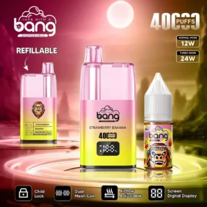 Premium BANG 40K B40S Puffs Disposable Vape with 40000 Puff Capacity and Type C Charging