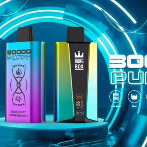 Wholesale Bulk Disposable Vape BANG BOX 30000 Puffs with Dual Indicators for Battery and Fuel